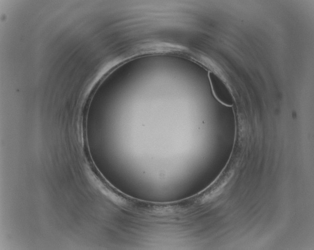 X0000076400843200610202128