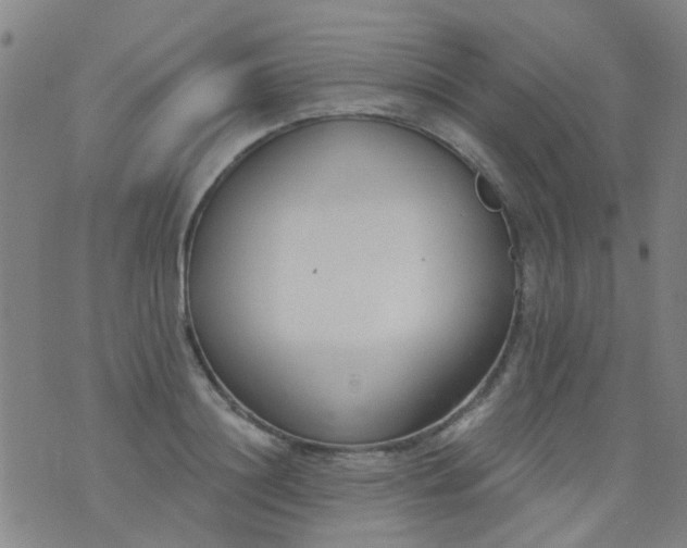 X0000076400844200610202128