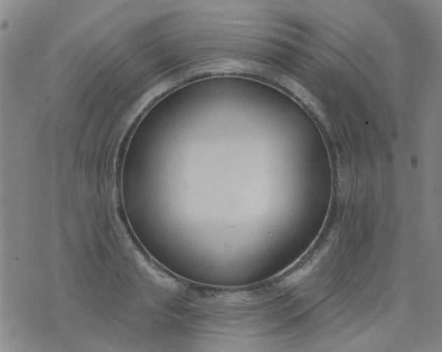 X0000076400845200610202128