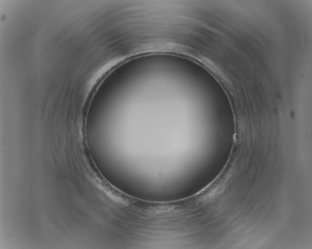 X0000076400846200610202128