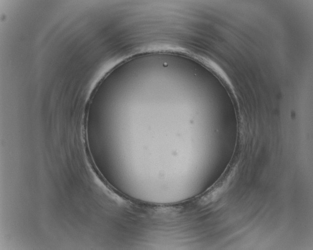 X0000076400847200610202128