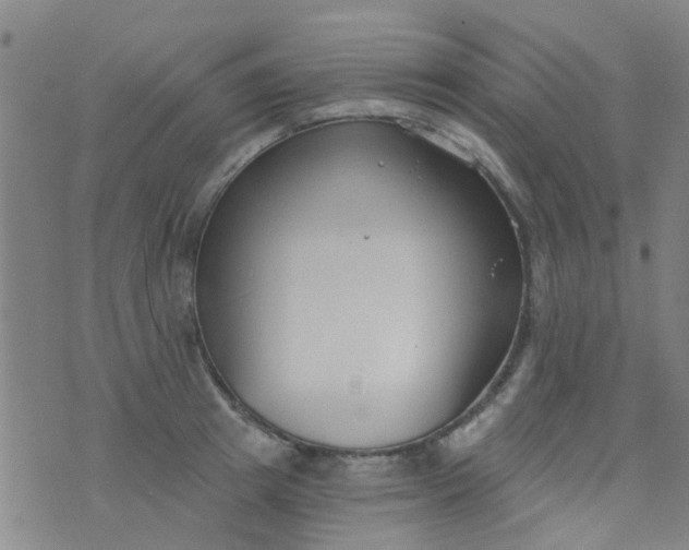 X0000076400849200610202128