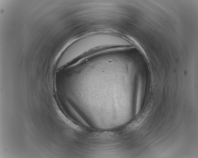 X0000076400851200610202128