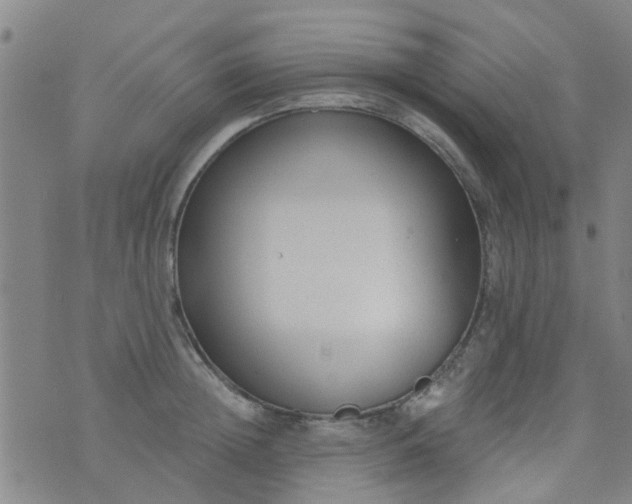 X0000076400852200610202128