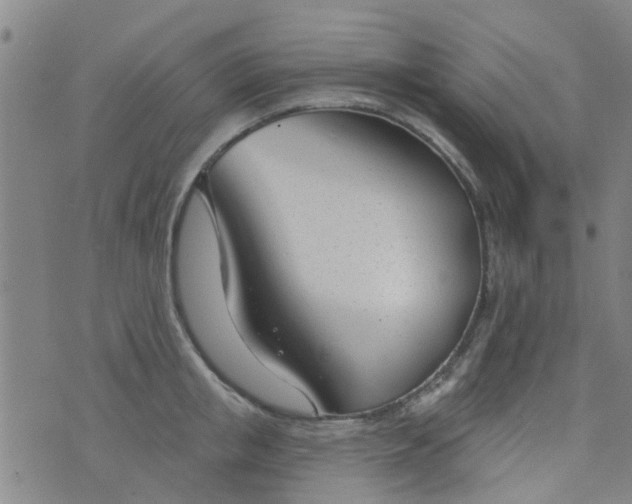 X0000076400853200610202128