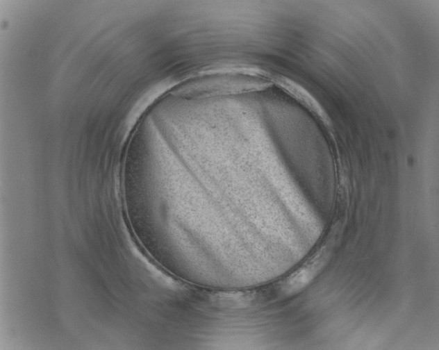 X0000076400855200610202128