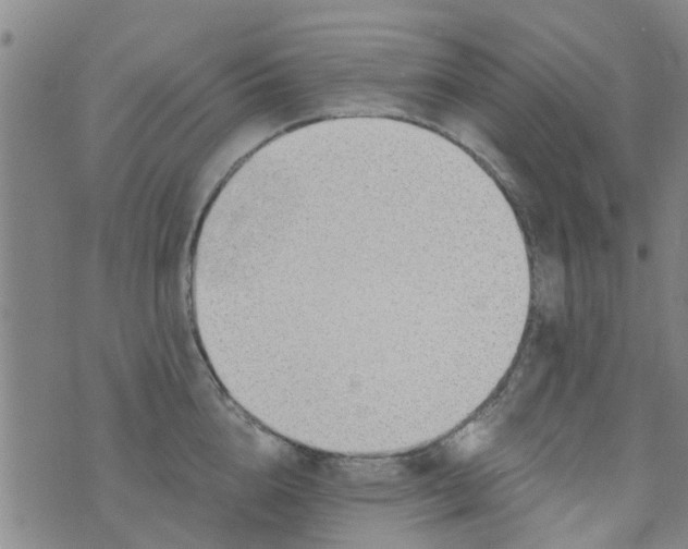 X0000076400856200610202128