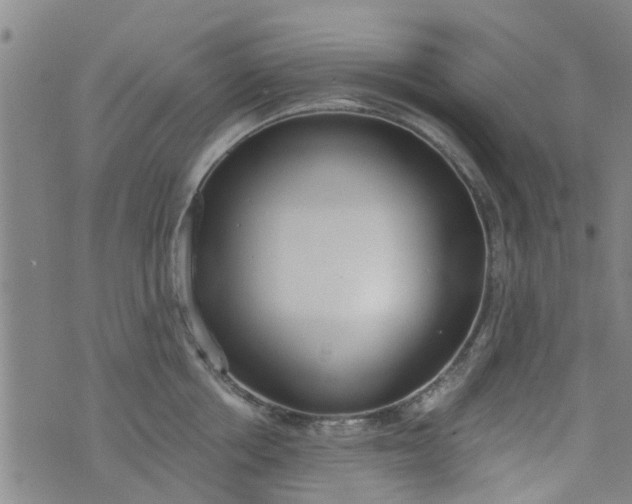 X0000076400858200610202128