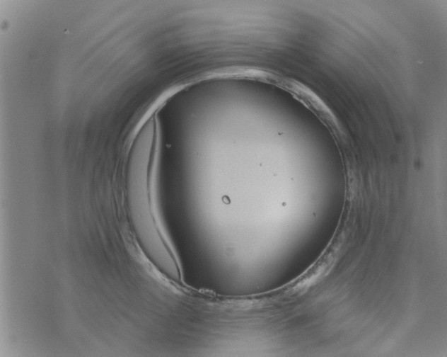 X0000076400860200610202128