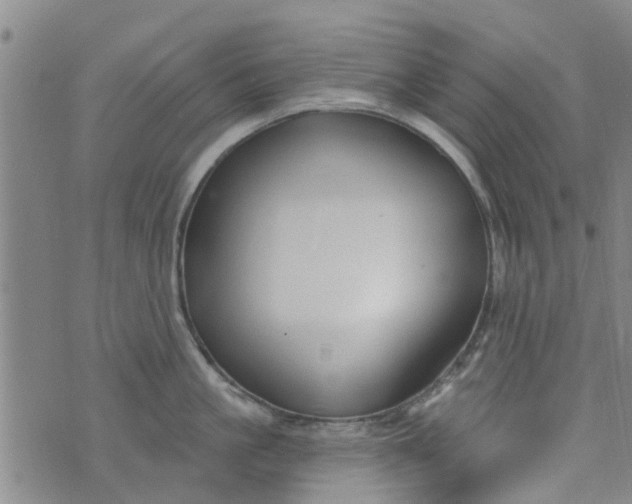 X0000076400861200610202128