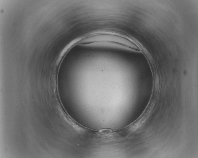 X0000076400862200610202128