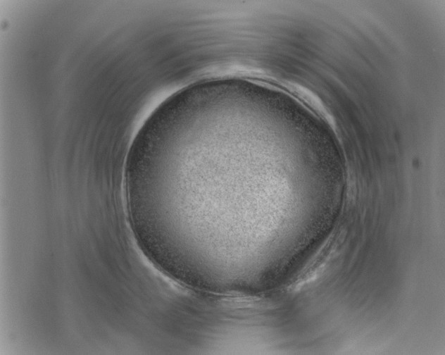 X0000076400863200610202128