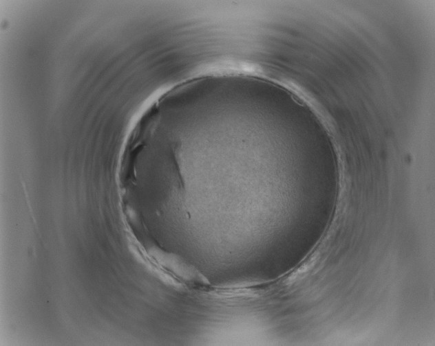 X0000076400864200610202128