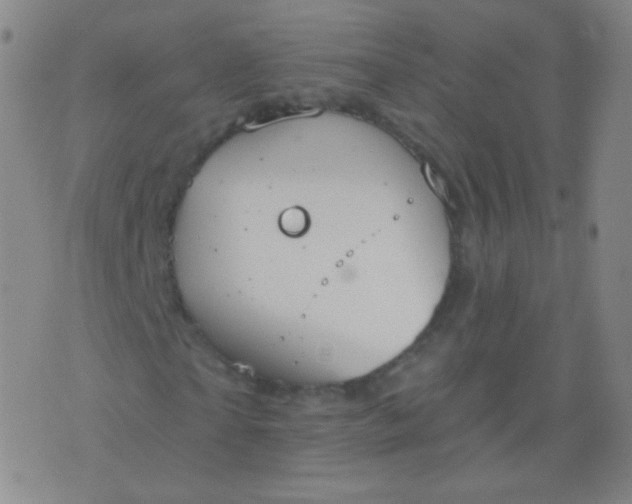 X0000076400865200610202127