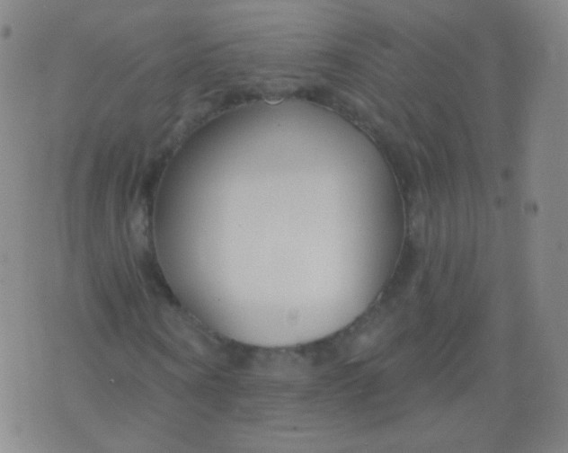 X0000076400866200610202127