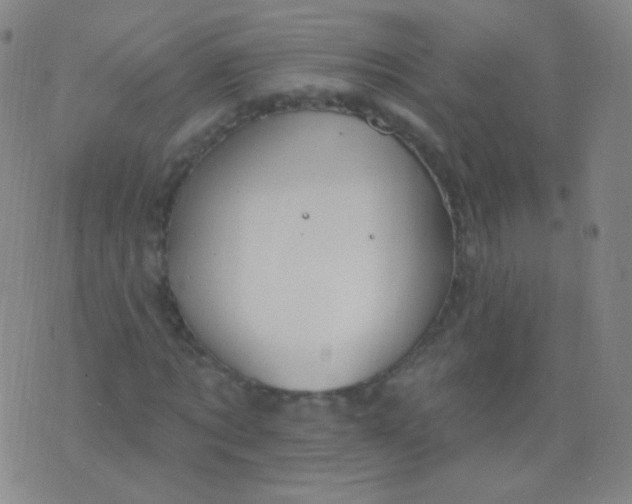 X0000076400869200610202127