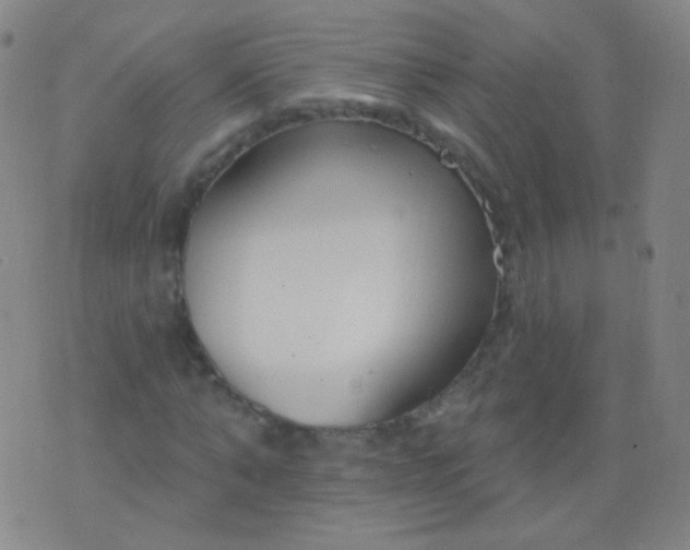 X0000076400870200610202127