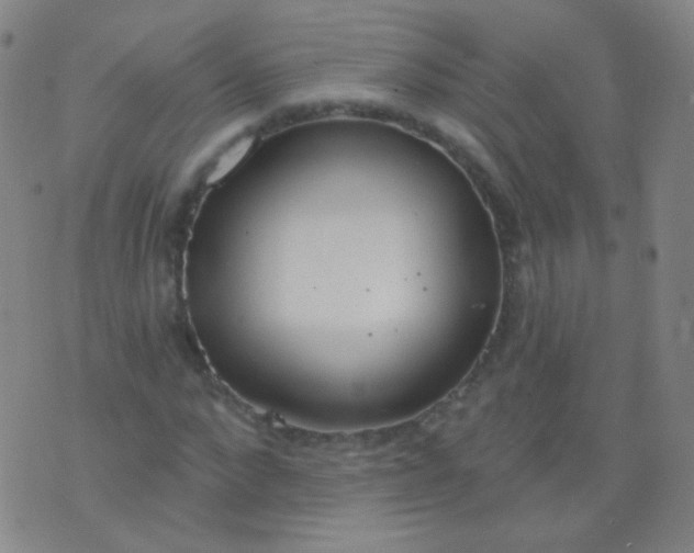 X0000076400872200610202127