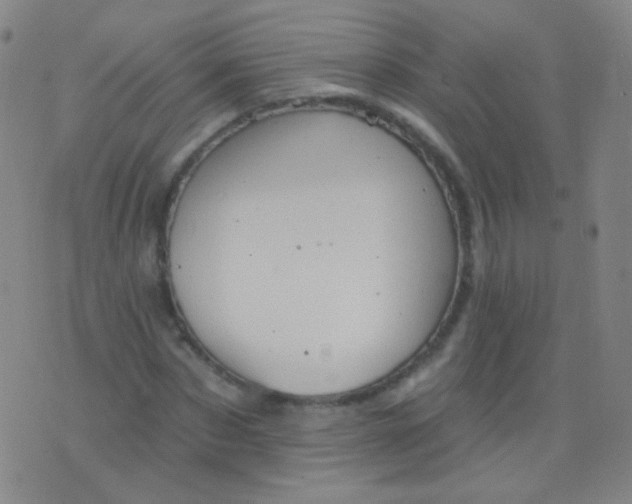 X0000076400873200610202127