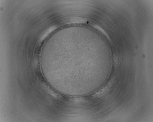 X0000076400874200610202127