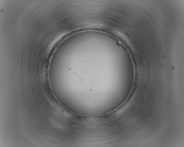 X0000076400875200610202127