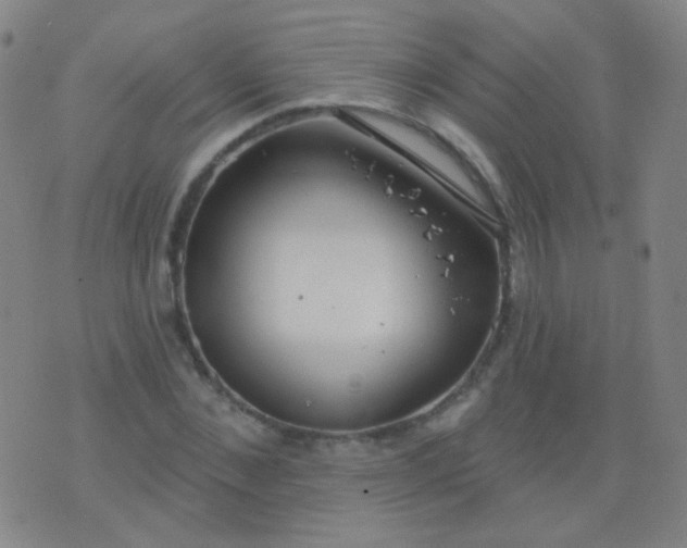 X0000076400876200610202127