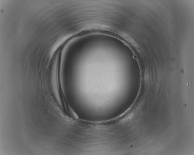 X0000076400877200610202127