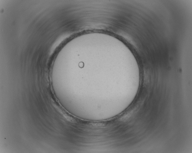 X0000076400878200610202127