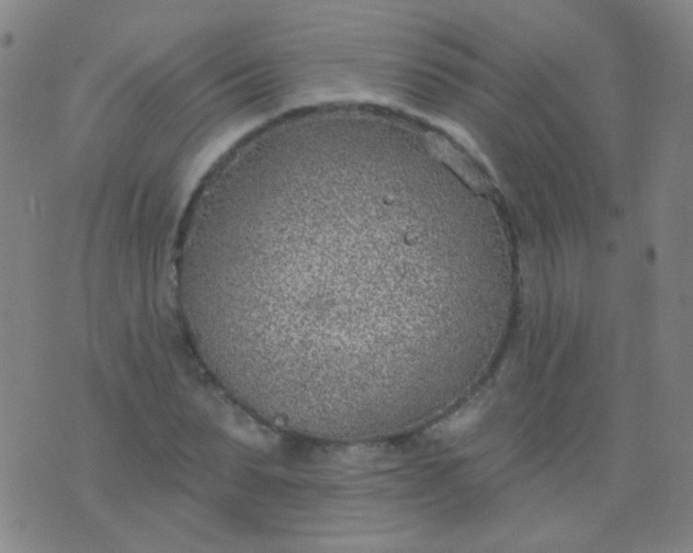 X0000076400879200610202127