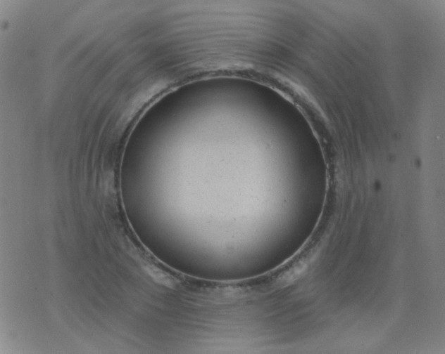 X0000076400881200610202127