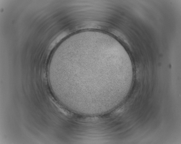 X0000076400882200610202127