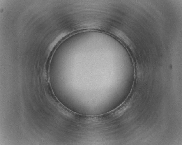 X0000076400883200610202127