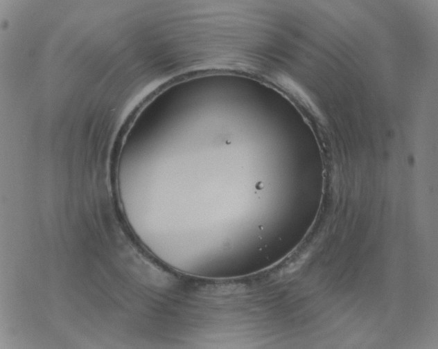 X0000076400884200610202127