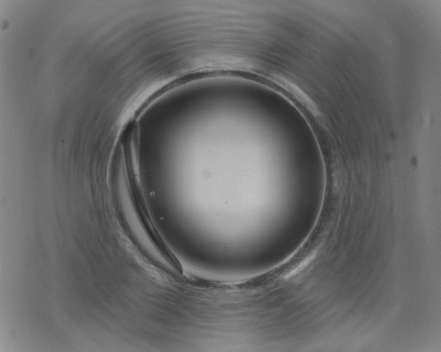 X0000076400885200610202127