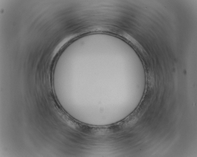 X0000076400886200610202127