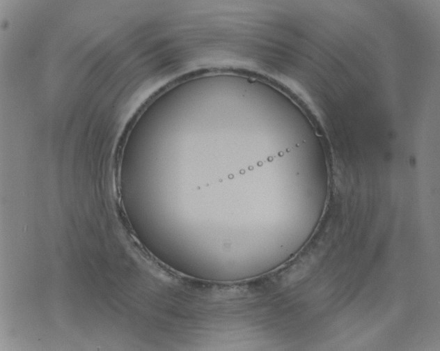 X0000076400887200610202127