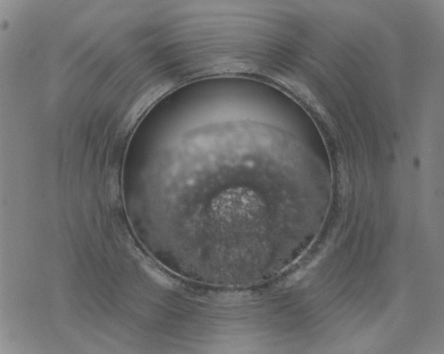 X0000076400889200610202127