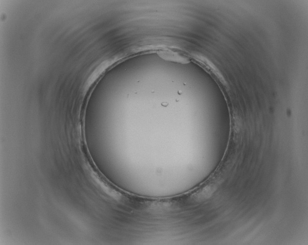 X0000076400890200610202127