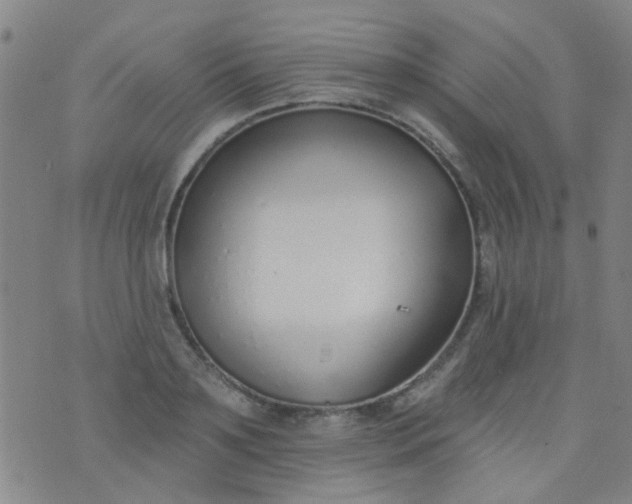 X0000076400891200610202127