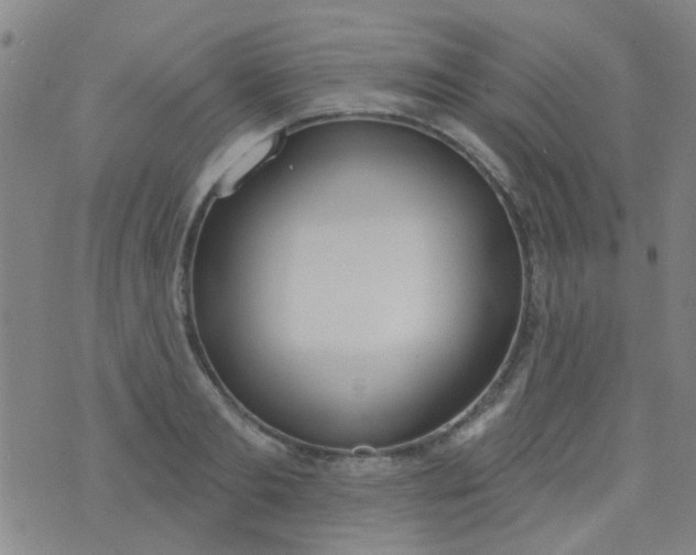 X0000076400893200610202127