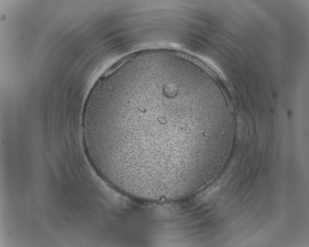 X0000076400895200610202127