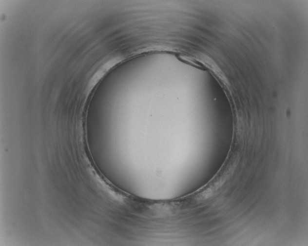 X0000076400898200610202127