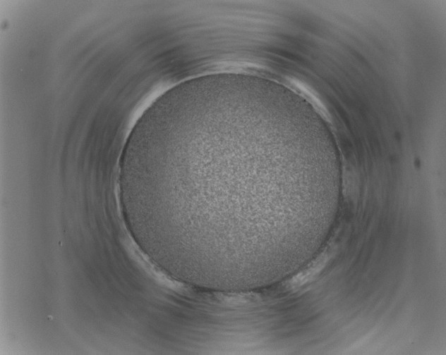 X0000076400899200610202127