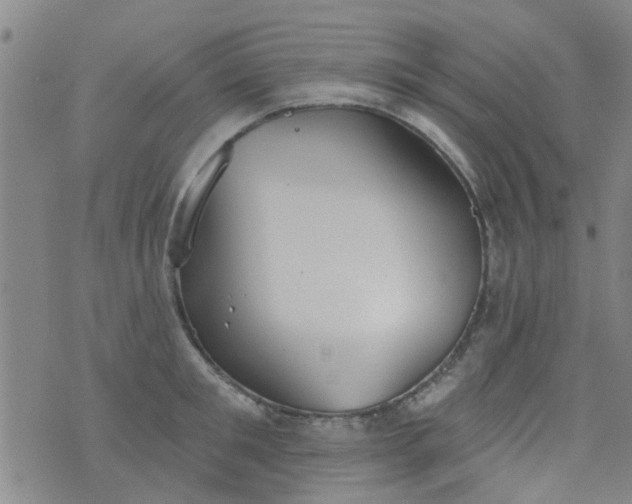 X0000076400901200610202127