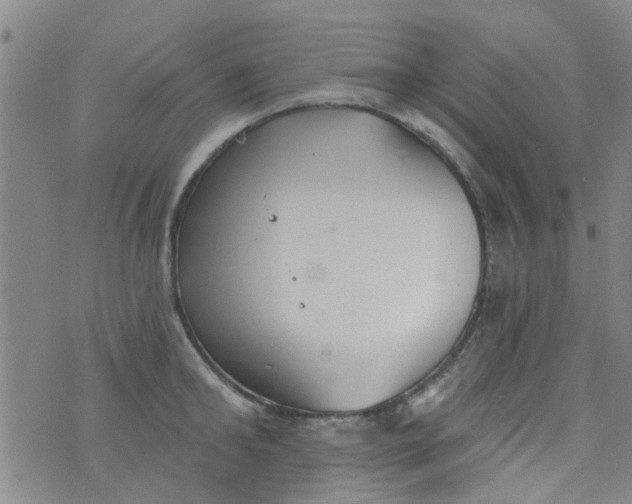 X0000076400902200610202127