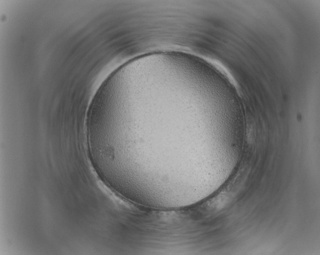 X0000076400903200610202127