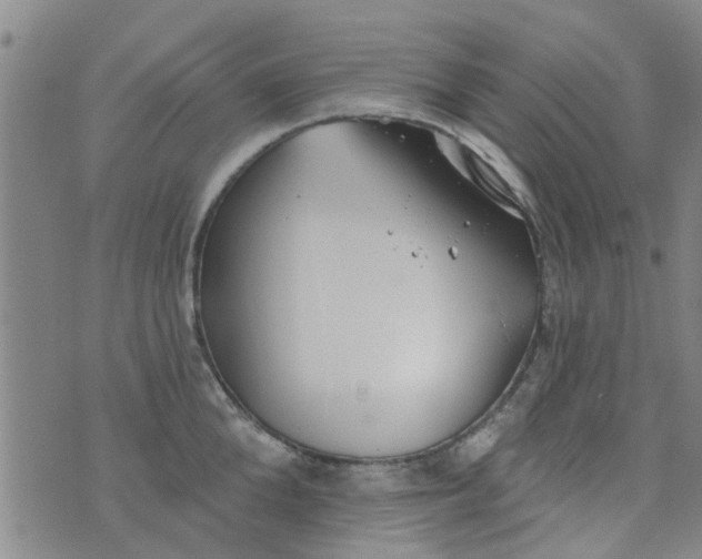 X0000076400904200610202127