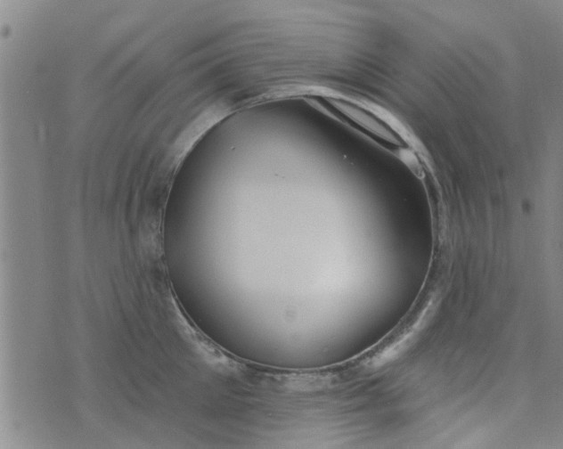 X0000076400905200610202127