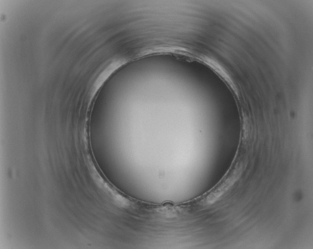 X0000076400906200610202127