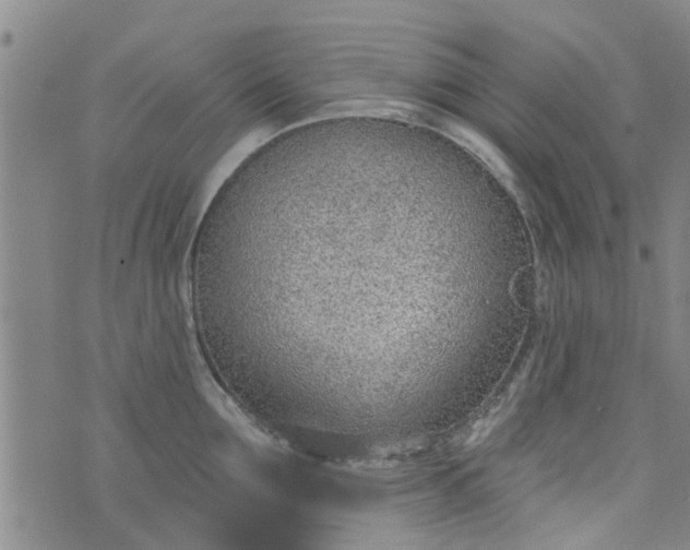 X0000076400907200610202127